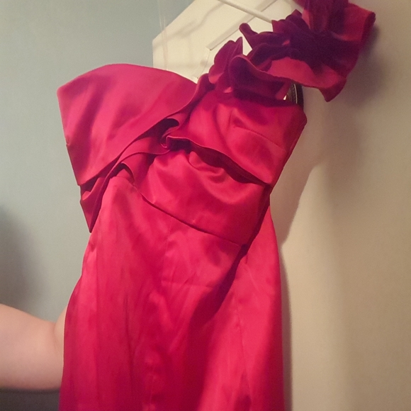 NWT Radiant Red Dress! - Picture 4 of 10